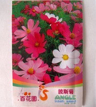 【波斯菊種子批發(fā)】最新最全波斯菊種子批發(fā) 產(chǎn)品參考信息