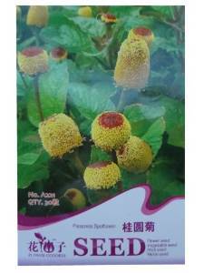 錦萱 花仙子系列 桂圓菊種子 別名金紐扣 家庭種植實(shí)用裝 庭院別墅陽(yáng)臺(tái)室內(nèi)盆栽花卉種子 庭院花種子 瓜果蔬菜種子 【錦萱】 價(jià)格 報(bào)價(jià) 圖片 - 亞馬遜中國(guó)