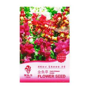 金魚(yú)草 花卉 種子 60粒(花語(yǔ):清純的心 高尚的女士 力量)- 家庭 盆栽 花卉 種子 陽(yáng)臺(tái) 種植 【PRIS】 價(jià)格 報(bào)價(jià) 圖片 - 亞馬遜中國(guó)