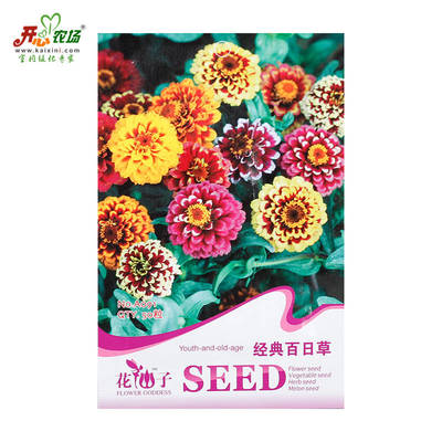 開(kāi)心農(nóng)場(chǎng) 陽(yáng)臺(tái)室內(nèi)易種花卉種子 粉紅黃青蘋果小花素妃大麗紅菊橙菊花百日草花卉種子 花卉種子 橙菊花百日草 - 京東