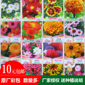 百花園花卉種子