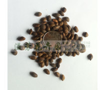 產(chǎn)品庫(kù)