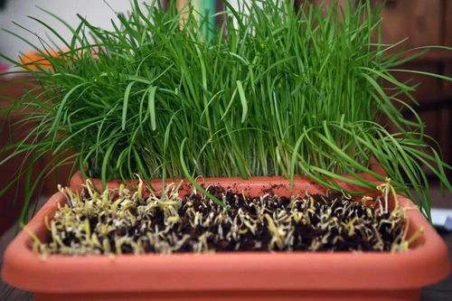 她力量 在大運(yùn)河畔 有這么一群 巧娘