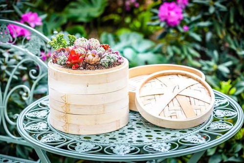 家國(guó)情懷意蘊(yùn)遠(yuǎn),花開(kāi)富貴迎新春,辰山植物園2022新春花卉展即將開(kāi)幕