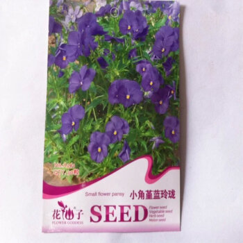 室內(nèi)盆栽花卉 觀花種子 三色堇花卉種子 50粒 小角堇蘭玲瓏【圖片 價格 品牌 報(bào)價】-京東
