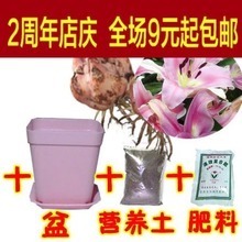【薔薇花種子】_綠植園藝價格_最新最全綠植園藝返利優(yōu)惠_一淘網(wǎng)