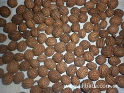 花卉種子 種苗產(chǎn)品列表 007商務(wù)站 全球網(wǎng)上貿(mào)易平臺(tái) 第91頁(yè)