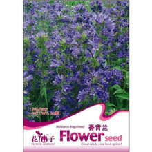 【薄荷種子】最新最全薄荷種子 產(chǎn)品參考信息