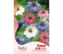 波斯菊花種子產(chǎn)品信息