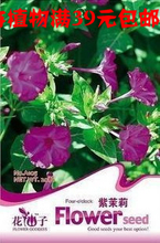 【紫茉莉種子】最新最全紫茉莉種子 產(chǎn)品參考信息
