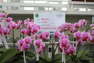 7000多個(gè)優(yōu)新品種集中展出 廣東種博會(huì)開幕 你來現(xiàn)場了嗎