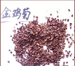 【出售新采地被類花卉種子 金雞菊種子 小波斯菊 金錢菊 孔雀菊】價(jià)格,廠家,圖片,花卉種子種苗,沭陽縣嘉禾苗木園藝場-