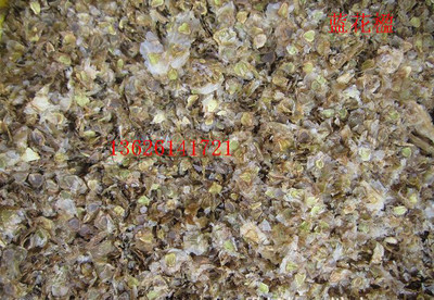 觀賞植物,觀賞樹(shù)種子:藍(lán)花楹種子,到專業(yè)花卉種子站購(gòu)買(mǎi)