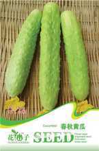 【黃瓜種子】最新最全黃瓜種子 產(chǎn)品參考信息