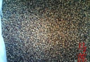 花卉種子【火炬,山玉蘭,側(cè)柏】_農(nóng)副產(chǎn)品_世界工廠網(wǎng)中國(guó)產(chǎn)品信息庫(kù)