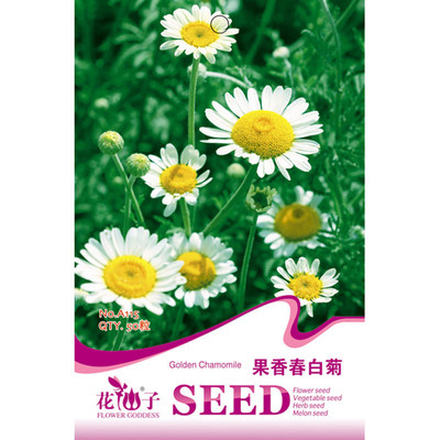 我要發(fā)芽 花卉種子 果香春白菊種子 紫錐花 菊花 盆栽 50粒/包 我要發(fā)芽園藝用品 【價(jià)格 圖片 品牌 報(bào)價(jià)】-蘇寧易購