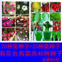 【盆栽花卉肥料】_綠植園藝價(jià)格_最新最全綠植園藝返利優(yōu)惠_一淘網(wǎng)