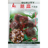 我要發(fā)芽 花卉種子 紅蓖麻種子 多年生觀賞蓖麻 春播 庭院種植 100克/包怎么樣|好不好|如何-蘇寧易購