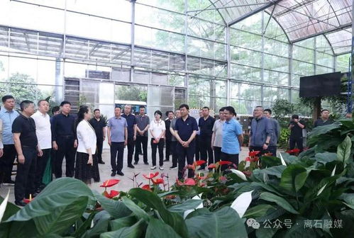 離石區(qū)考察團(tuán)在廣州市考察學(xué)習(xí)