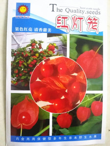 原包裝花卉種子 紅燈籠種子 紅姑娘 紅果酸漿 藥材四季播種 野生優(yōu)惠價(jià)5.88元,原包裝花卉種子精心為您挑選-麥爾網(wǎng)購導(dǎo)航-網(wǎng)購寶