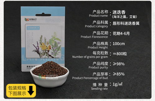 進(jìn)口花卉種子 觀賞花種子 迷迭香種子 花卉種子 四季易種花種子