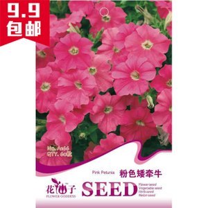 多年生牡丹花別墅庭院陽(yáng)臺(tái)花種子花籽