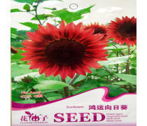 大向日葵種子企業(yè)黃頁(yè)