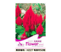 花卉火炬企業(yè)黃頁(yè)