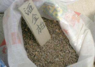 出售花卉種子 灑青柏種子_農(nóng)副產(chǎn)品_世界工廠網(wǎng)中國(guó)產(chǎn)品信息庫(kù)