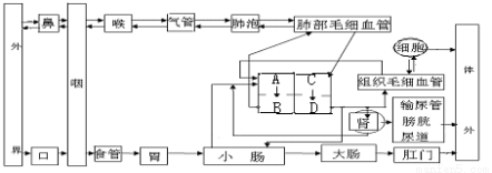 恩施州獨特的地形地貌以及溫潤的氣候.孕育了一大批有地方特色的農(nóng)產(chǎn)品.為提高農(nóng)產(chǎn)品質量.增強市場競爭力.許多地方建起了育苗工廠.讓“種子萌發(fā)成幼苗 這個過程在車間內(nèi)完成.根壯苗齊.種子用量和人力成本大大降低.種子萌發(fā).需要什么外界條件?小明參觀了為“六城同創(chuàng) 配套服務的某花卉公司育苗車間后.決定自己動手.探究一下“ 題目和參考答案