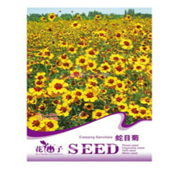 藍憶 菊類系列種子室內(nèi)盆栽花卉植物種子多種 彩包種子 15蛇目菊30?！緢D片 價格 品牌 報價】-京東