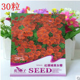 【杜鵑工程苗小苗毛鵑春鵑盆景庭院樹苗 25-35厘米和唯友 彩包觀花經(jīng)典滿天星種子 菊類 勿忘我 紫羅蘭 七里香 百日草種子 多品種花卉四季播 紅繡球美女櫻哪個(gè)好】杜鵑工程苗小苗毛鵑春鵑盆景庭院樹苗 25-35厘米和唯友 彩包觀花經(jīng)典滿天星種子 菊類 勿忘我 紫羅蘭 七里香 百日草種子 多品種花卉四季播 紅繡球美女櫻有什么區(qū)別-商品比較-