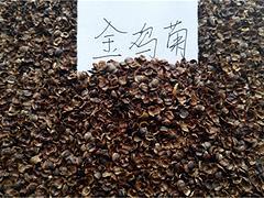 供應(yīng)宿根花卉種子|優(yōu)質(zhì)金雞菊種子上哪買-青州市文霖花卉苗木種植專業(yè)合作社提供供應(yīng)宿根花卉種子|優(yōu)質(zhì)金雞菊種子上哪買的相關(guān)介紹、產(chǎn)品、服務(wù)、圖片、價(jià)格金葉女貞、綠化草花種植基地、宿根花卉種植基地、草花種植基地、苗木種植基地、宿根花卉基地、