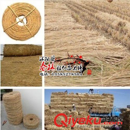 批發(fā)園藝稻草繩子 捆綁繩 打草繩 苗木及工廠產(chǎn)品包扎與防護(hù)-沭陽(yáng)縣春林綠化苗木場(chǎng)提供批發(fā)園藝稻草繩子 捆綁繩 打草繩 苗木及工廠產(chǎn)品包扎與防護(hù)的相關(guān)介紹、產(chǎn)品、服務(wù)、圖片、價(jià)格沭陽(yáng)縣春林綠化苗木場(chǎng)、綠化苗木;花木;盆景;花卉;草籽;草種;種子;彩色植物;竹類植物;喬木;灌木;攀援植物;草坪