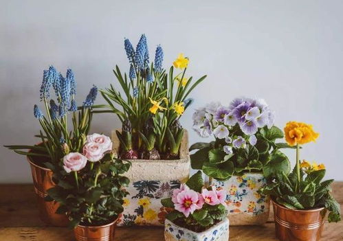 尿素的作用是什么 用來(lái)養(yǎng)花需要注意哪些配比嗎