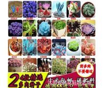 德國景天產(chǎn)品庫