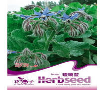 植物類種子企業(yè)黃頁