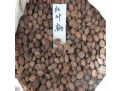 紅葉桃種子種植方法|花卉種子|花卉盆景|供應(yīng)信息|597苗木網(wǎng)
