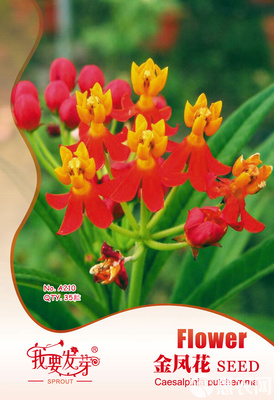 報春花種子 我要發(fā)芽 花卉種子 金鳳花種子 馬利筋 蛺蝶花 35粒/包