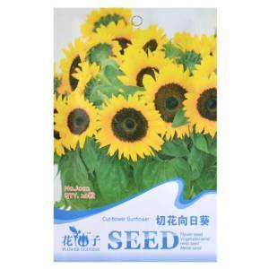 津沽園藝 切花向日葵種子5包 花卉種子 花籽 花種子 盆栽 耐旱易活 【津沽園藝】 價格 報價 圖片 - 亞馬遜中國
