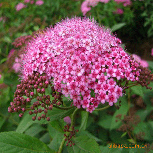 【大河里怎樣捉螞蝗】價格、產(chǎn)品供應(yīng),大河里怎樣捉螞蝗廠家批發(fā)-1024商務(wù)網(wǎng)