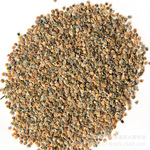 優(yōu)質(zhì)紫羅蘭種子批發(fā)盆栽花卉種子 紫羅蘭花籽 花卉草花種子