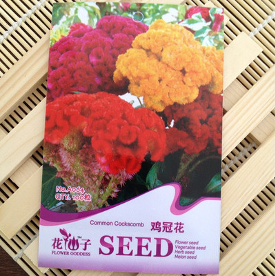 雞冠花種子混色100粒 花色艷麗 觀賞花卉 陽臺(tái)花卉種子 盆栽 易種 圖片_高清大圖 