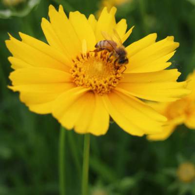 價(jià)格 廠家 中國供應(yīng)商