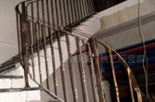 出售花卉種子 濕地松種子_農(nóng)副產(chǎn)品_世界工廠網(wǎng)中國產(chǎn)品信息庫