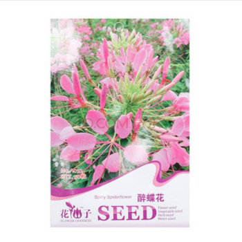 花種 花卉種子 庭院陽臺室內(nèi)盆栽易種 滿天星 瓜葉菊 美女櫻彩包 醉蝶花【圖片 價格 品牌 報價】-京東