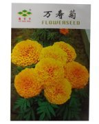 錦萱 萬壽菊種子 別稱: 臭芙蓉、萬壽燈、蜂窩菊、臭菊花、蝎子菊 家庭種植實(shí)用裝 陽臺室內(nèi)盆栽花卉種子 庭院花種子 瓜果蔬菜種子:亞馬遜:家居裝修