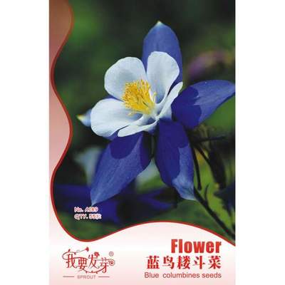 【我要發(fā)芽園藝休閑旗艦店】我要發(fā)芽 花卉種子 藍(lán)鳥耬斗菜種子 藍(lán)漏斗菜 夜鶯 漏斗菜 適宜作花壇 花境 盆栽及切花 55粒/包 -蘇寧易購