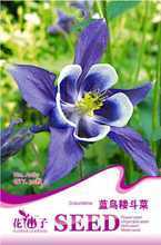 【藍(lán)鳥耬斗菜】最新最全藍(lán)鳥耬斗菜 產(chǎn)品參考信息