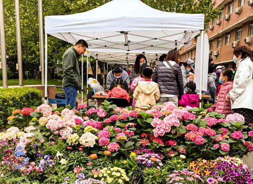 第五屆農(nóng)科開放日推動(dòng)科技科普惠農(nóng)